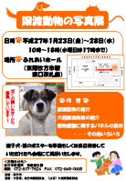 動物愛護フェスティバル